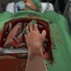 Surgeon Simulator: Anniversary Edition Steam CD Key