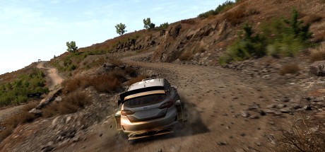 WRC 8 FIA World Rally Championship ASIA PC Steam CD Key WRC 8 FIA World Rally Championship ASIA PC Steam CD Key