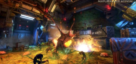 Natural Selection 2 PC Steam CD Key Natural Selection 2 PC Steam CD Key