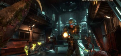 Natural Selection 2 PC Steam CD Key 