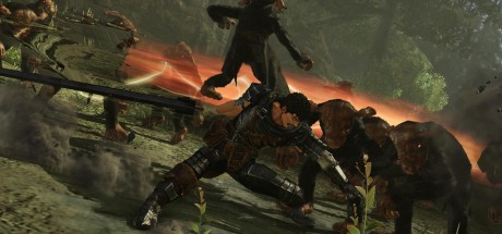 Berserk and the Band of the Hawk PC Steam CD Key Berserk and the Band of the Hawk PC Steam CD Key