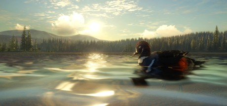 theHunter: Call of the Wild CN Steam CD Key theHunter: Call of the Wild CN Steam CD Key