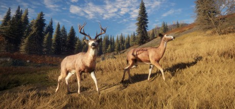 theHunter: Call of the Wild CN Steam CD Key theHunter: Call of the Wild CN Steam CD Key
