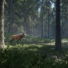 theHunter: Call of the Wild CN Steam CD Key theHunter: Call of the Wild CN Steam CD Key