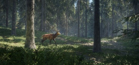 theHunter: Call of the Wild CN Steam CD Key theHunter: Call of the Wild CN Steam CD Key