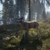 theHunter: Call of the Wild CN Steam CD Key theHunter: Call of the Wild CN Steam CD Key