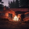 Survive the Nights Steam CD Key