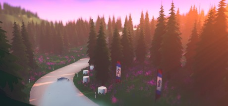 Art of Rally EU PC Steam CD Key Art of Rally EU PC Steam CD Key