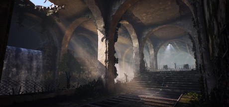 BIOMUTANT LATAM Steam CD Key