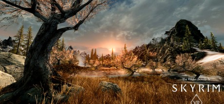 The Elder Scrolls V: Skyrim VR EU PC Steam CD Key The Elder Scrolls V: Skyrim VR EU PC Steam CD Key