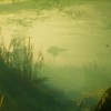 Maneater EU Epic Games CD Key Maneater EU Epic Games CD Key