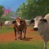 Farming Simulator 17 - Platinum Expansion DLC PC Steam CD Key
