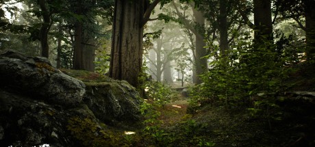 Reaching for Petals Steam CD Key