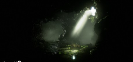 Reaching for Petals: VR Edition Steam CD Key