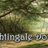 Nightingale Downs Steam CD Key