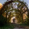A Plague Tale: Innocence GOG CD Key A Plague Tale: Innocence GOG CD Key