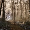 The Talos Principle 2 Steam CD Key The Talos Principle 2 Steam CD Key