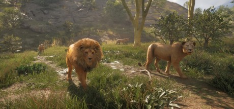 theHunter: Call of the Wild - Vurhonga Savanna DLC EU PC Steam CD Key theHunter: Call of the Wild - Vurhonga Savanna DLC EU PC Steam CD Key