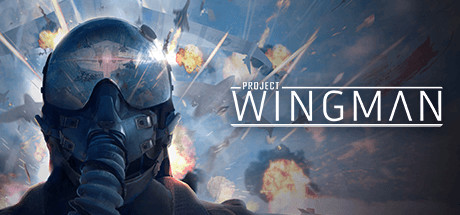 Project Wingman ASIA PC Steam CD Key Project Wingman ASIA PC Steam CD Key