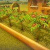 Farm Together - Jalapeño Pack DLC PC Steam CD Key Farm Together - Jalapeño Pack DLC PC Steam CD Key
