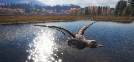 theHunter: Call of the Wild - Duck and Cover Pack DLC EU PC Steam CD Key theHunter: Call of the Wild - Duck and Cover Pack DLC EU PC Steam CD Key