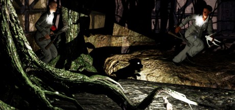 Pacify Steam CD Key Pacify Steam CD Key