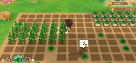 STORY OF SEASONS: Friends of Mineral Town Steam CD Key STORY OF SEASONS: Friends of Mineral Town Steam CD Key