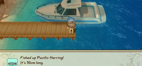 STORY OF SEASONS: Friends of Mineral Town Steam CD Key STORY OF SEASONS: Friends of Mineral Town Steam CD Key