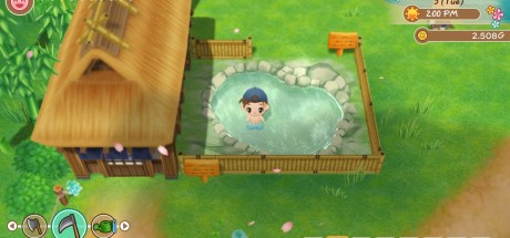 STORY OF SEASONS: Friends of Mineral Town Steam CD Key STORY OF SEASONS: Friends of Mineral Town Steam CD Key