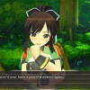 Senran Kagura Reflexions PC Steam CD Key