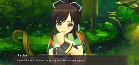 Senran Kagura Reflexions PC Steam CD Key