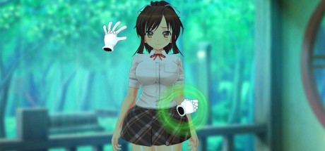 Senran Kagura Reflexions PC Steam CD Key