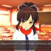 Senran Kagura Reflexions PC Steam CD Key