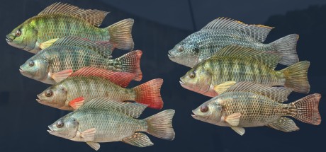 Ultimate Fishing Simulator - Kariba Dam DLC Steam CD Key Ultimate Fishing Simulator - Kariba Dam DLC Steam CD Key