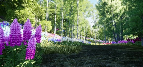 Nature Hunter Steam CD Key