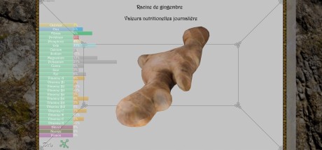 Nature Hunter Steam CD Key