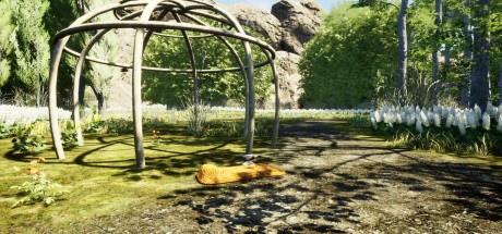 Nature Hunter Steam CD Key