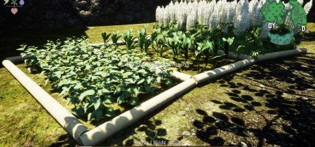 Nature Hunter Steam CD Key