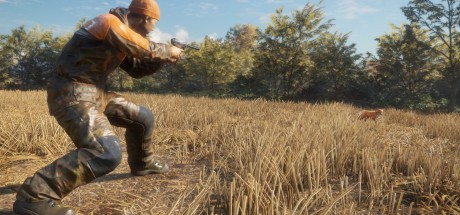 theHunter: Call of the Wild - Weapon Pack 3 DLC PC Steam CD Key