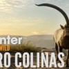theHunter: Call of the Wild - Cuatro Colinas Game Reserve DLC PC Steam CD Key theHunter: Call of the Wild - Cuatro Colinas Game Reserve DLC PC Steam CD Key