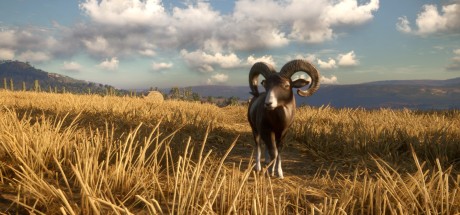 theHunter: Call of the Wild - Cuatro Colinas Game Reserve DLC PC Steam CD Key theHunter: Call of the Wild - Cuatro Colinas Game Reserve DLC PC Steam CD Key