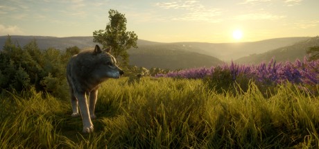 theHunter: Call of the Wild - Cuatro Colinas Game Reserve DLC PC Steam CD Key theHunter: Call of the Wild - Cuatro Colinas Game Reserve DLC PC Steam CD Key