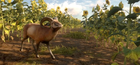 theHunter: Call of the Wild - Cuatro Colinas Game Reserve DLC PC Steam CD Key theHunter: Call of the Wild - Cuatro Colinas Game Reserve DLC PC Steam CD Key