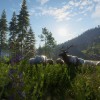 theHunter: Call of the Wild - Silver Ridge Peaks DLC EU Steam CD Key