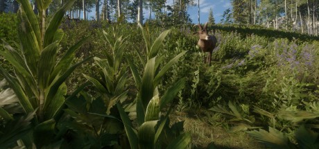 theHunter: Call of the Wild - Silver Ridge Peaks DLC EU Steam CD Key