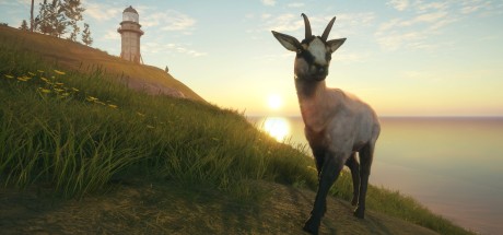 theHunter: Call of the Wild - Te Awaroa National Park DLC EU PC Steam CD Key