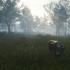 theHunter: Call of the Wild - Te Awaroa National Park DLC EU PC Steam CD Key
