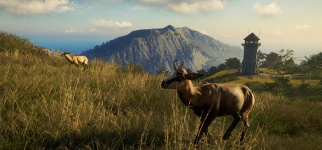 theHunter: Call of the Wild - Te Awaroa National Park DLC EU PC Steam CD Key