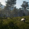 theHunter: Call of the Wild - Te Awaroa National Park DLC EU PC Steam CD Key