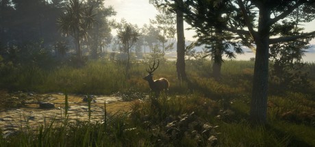 theHunter: Call of the Wild - Te Awaroa National Park DLC EU PC Steam CD Key